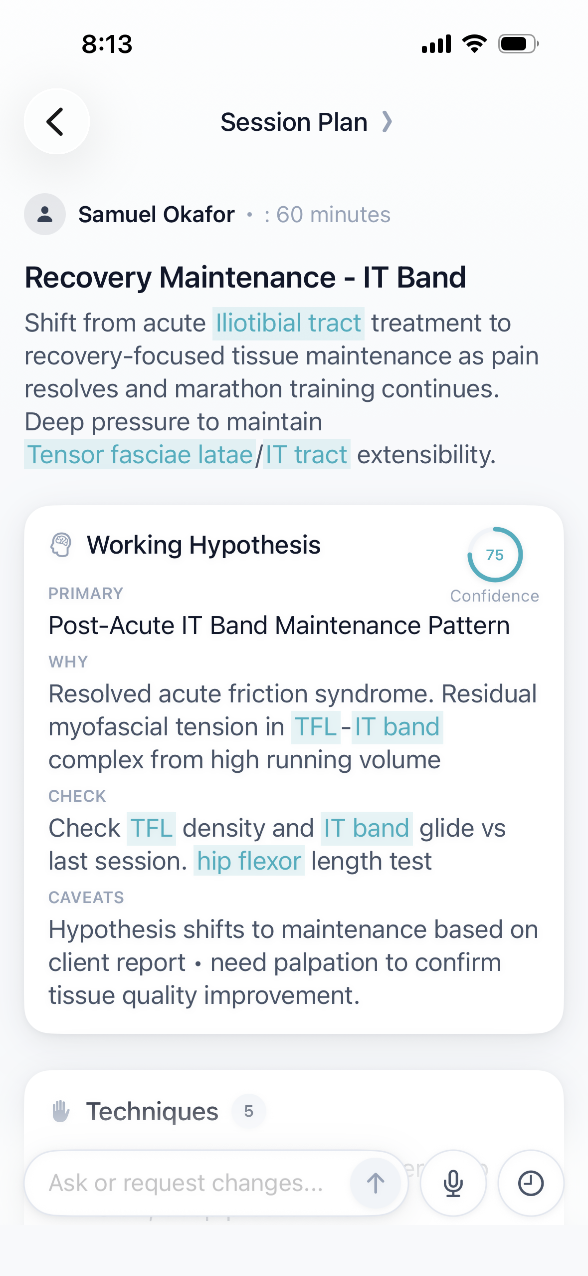 Session plan with working hypothesis, techniques, and timed phases